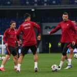 Milli Takım merih demiral